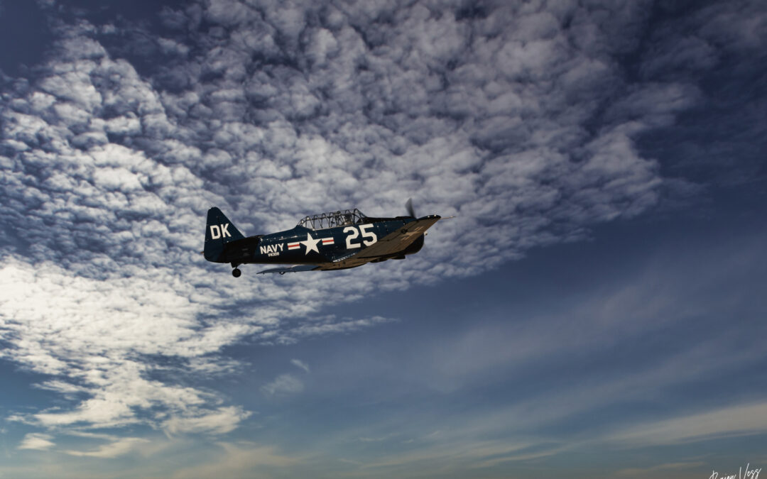 Photographing Airshows